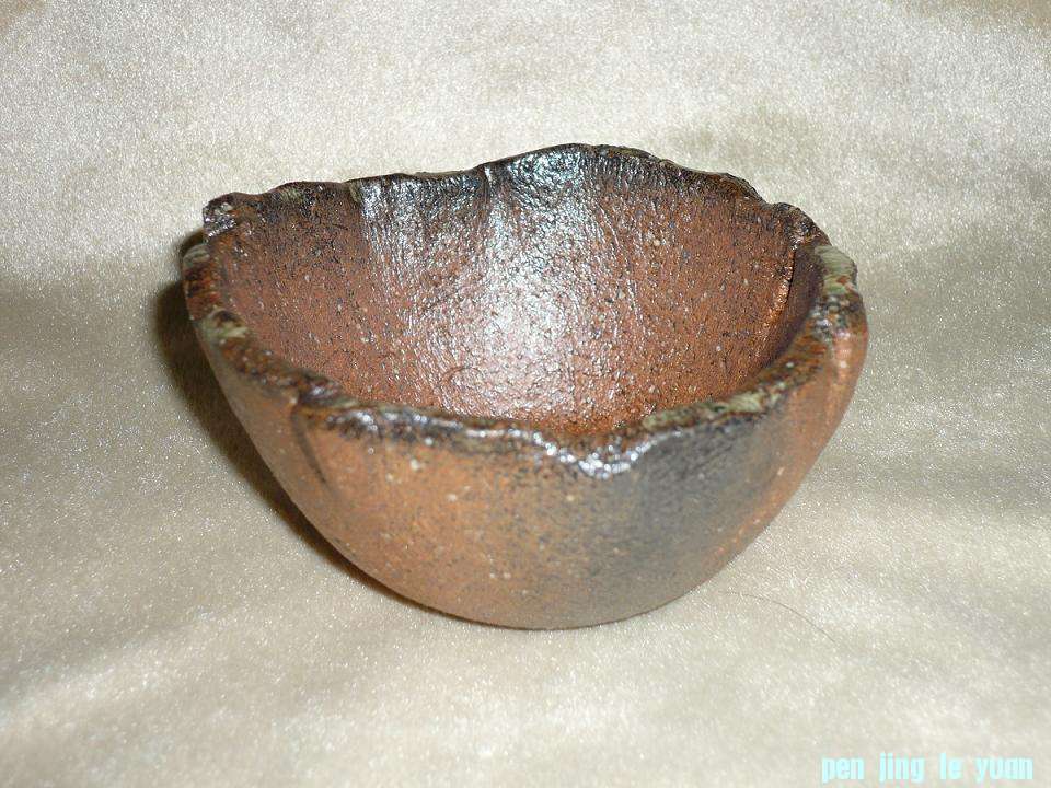 P1100246.JPG