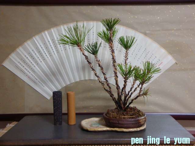 DSC00809.JPG