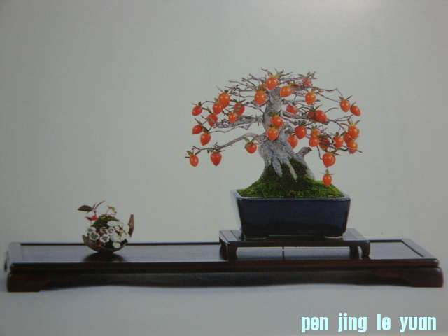 DSC09535.JPG