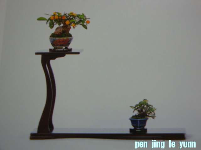 DSC09538.JPG