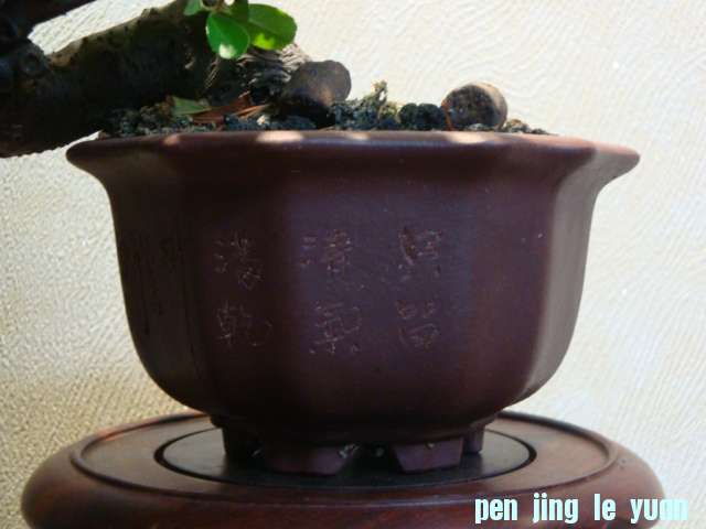 DSC00796.JPG
