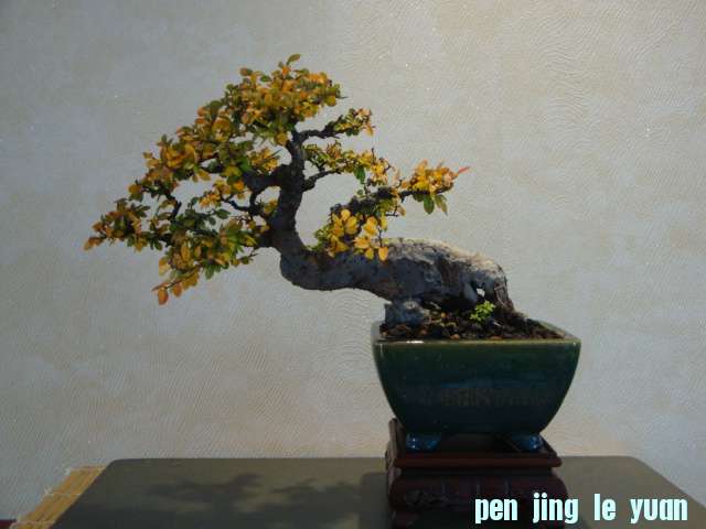 DSC00824.JPG