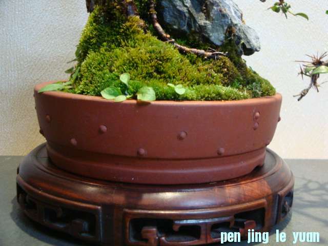 DSC00790.JPG