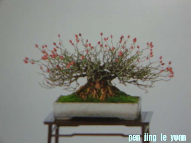 DSC09547.JPG