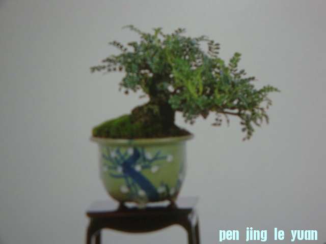 DSC09546.JPG