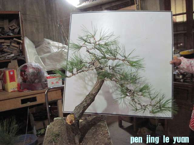 2012-10-21 001.jpg
