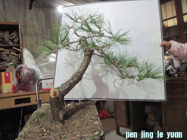 2012-10-21 002.jpg