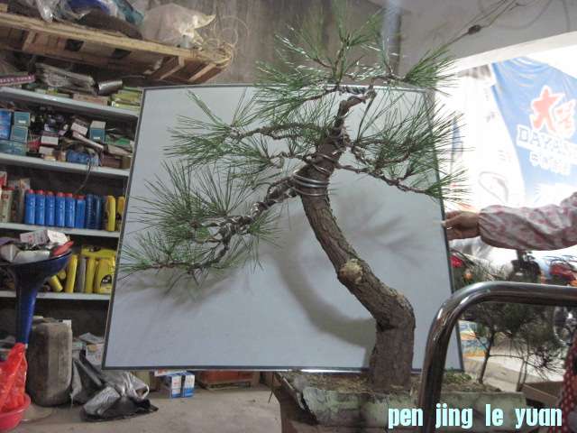 2012-10-21 004.jpg