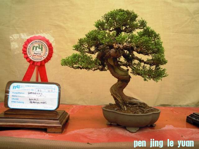 DSCN0321.jpg