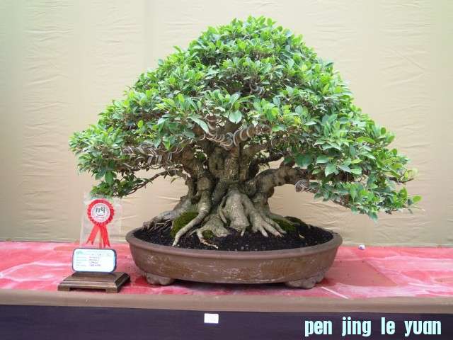 DSCN0322.jpg
