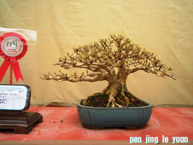 DSCN0324.jpg
