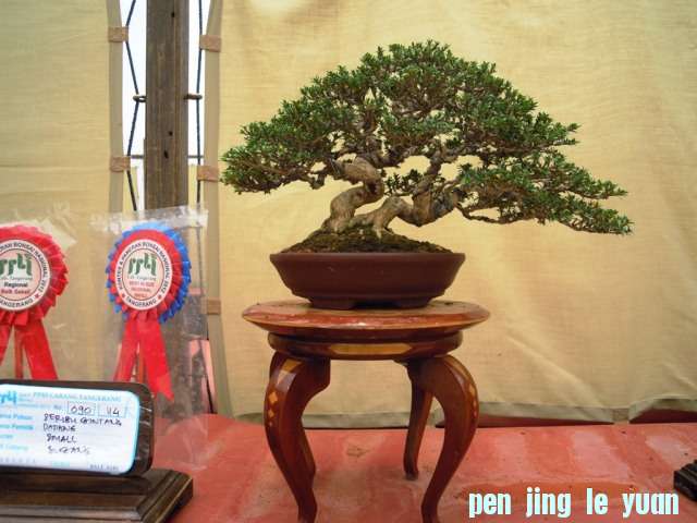 DSCN0325.jpg