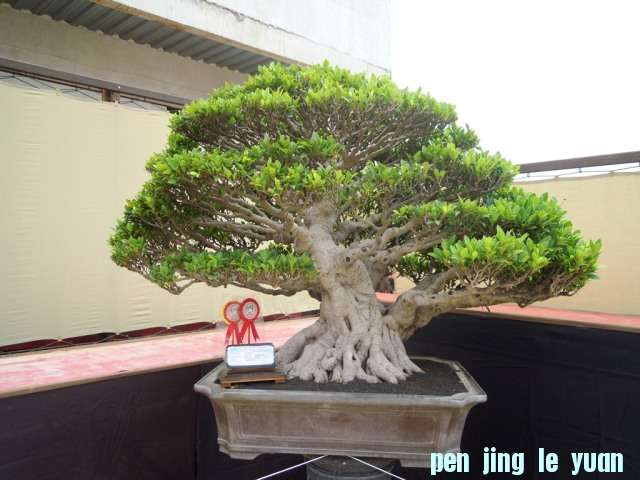 DSCN0329.jpg