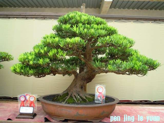 DSCN0330.jpg