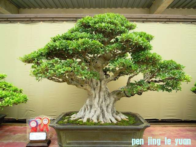 DSCN0332.jpg