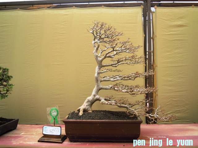 DSCN0338.jpg