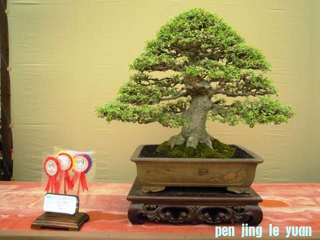 DSCN0340.jpg