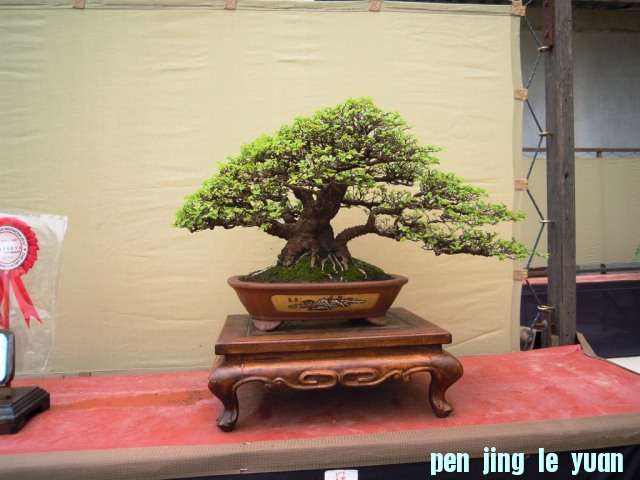 DSCN0346.jpg