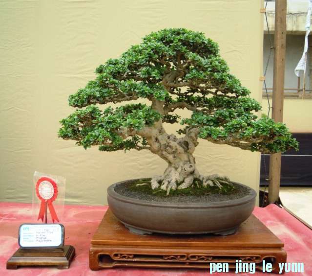 DSCN0348.jpg
