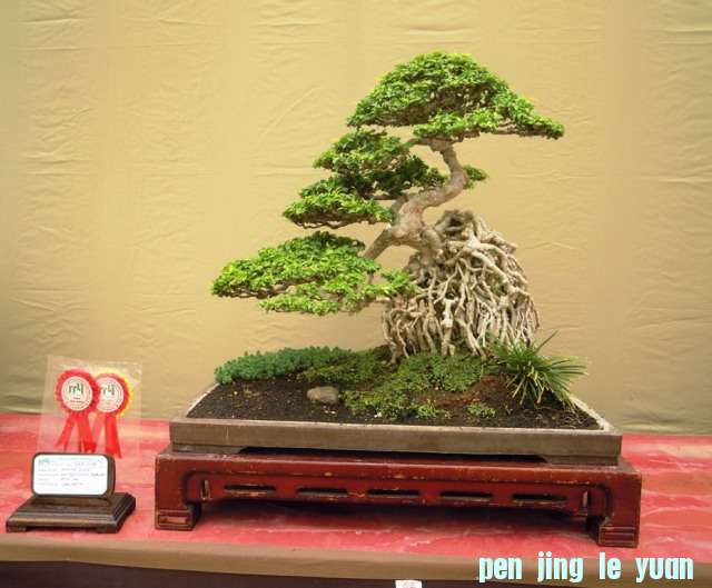 DSCN0349.jpg