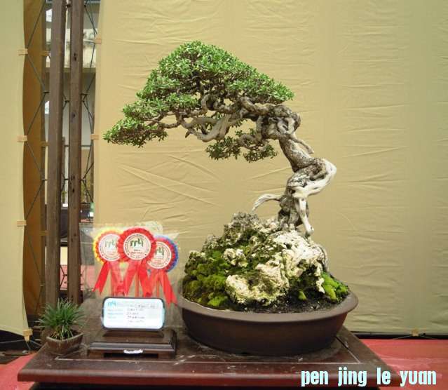 DSCN0355.jpg