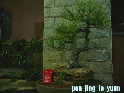 P1030915_.jpg
