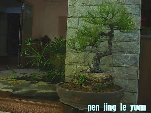 P1030909_.jpg