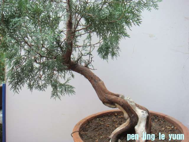 DSC08095.JPG