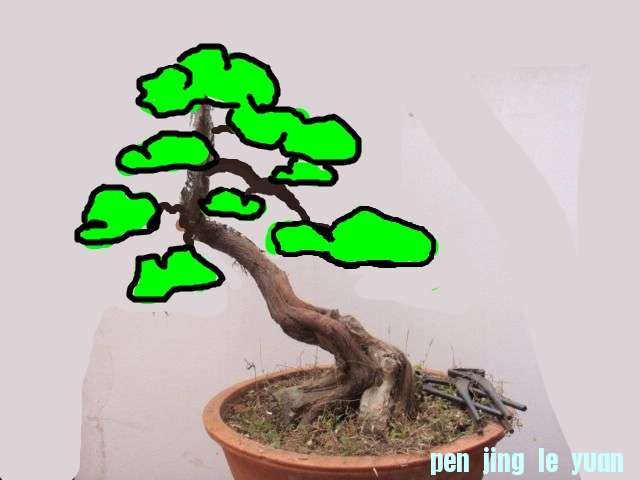 120858z29eoeov0wb0b28w_jpg_thumb_conew1.jpg