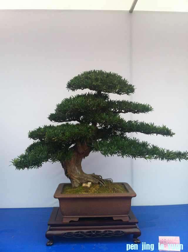 mmexport1350824954745.jpg