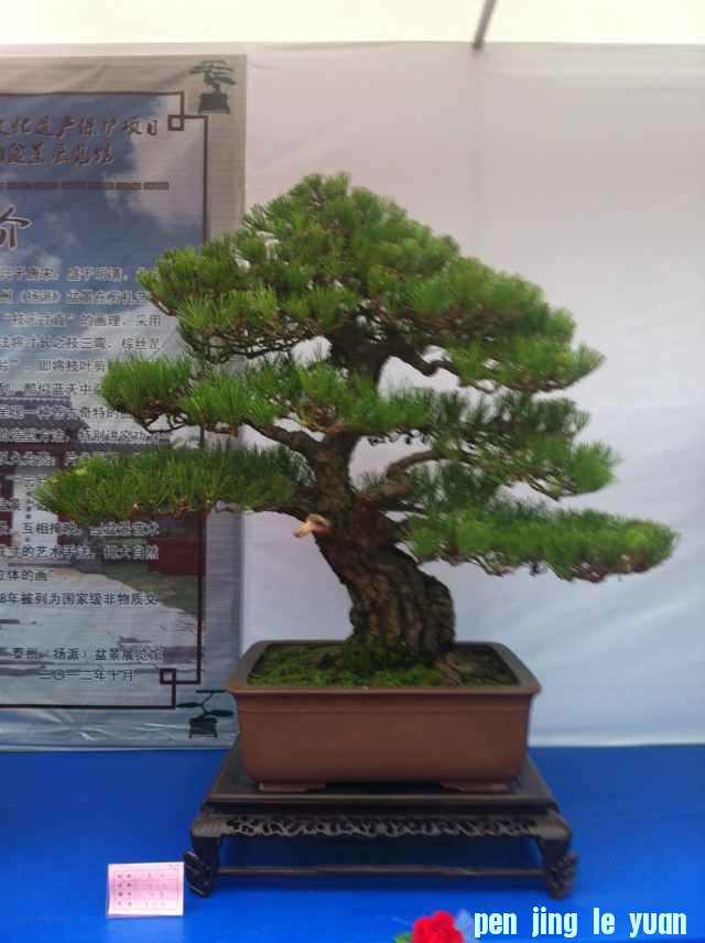 mmexport1350825273430.jpg