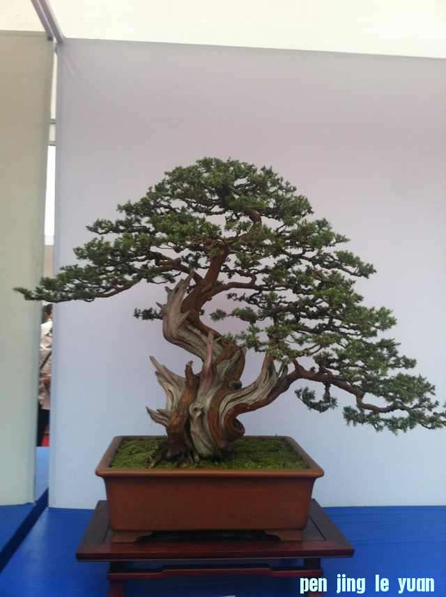 mmexport1350825110995.jpg