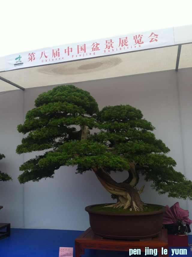 mmexport1350825347886.jpg
