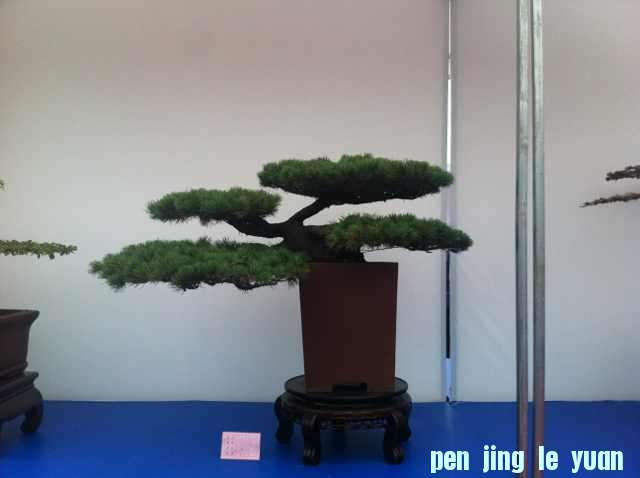 mmexport1350825373828.jpg