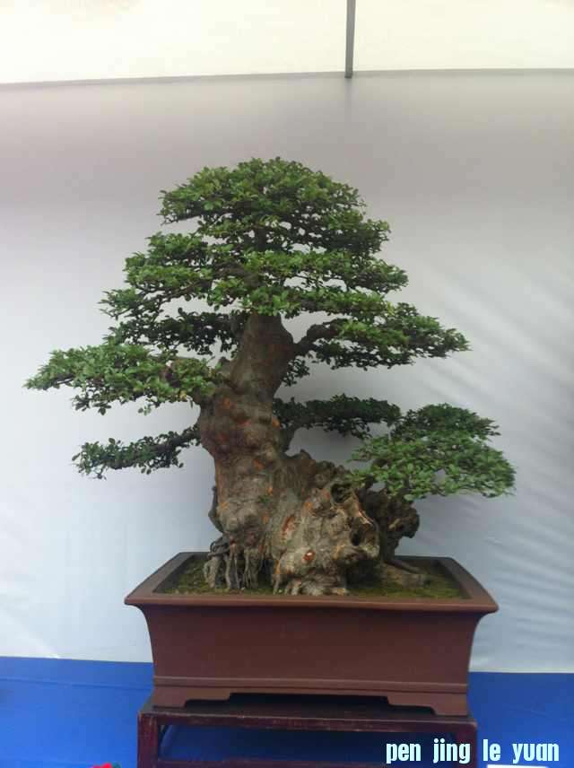 mmexport1350825423936.jpg