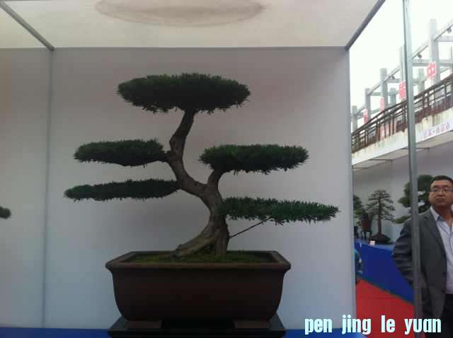 mmexport1350825448337.jpg