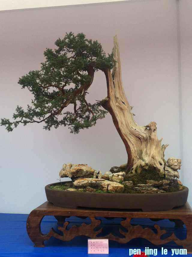 mmexport1350826386415.jpg