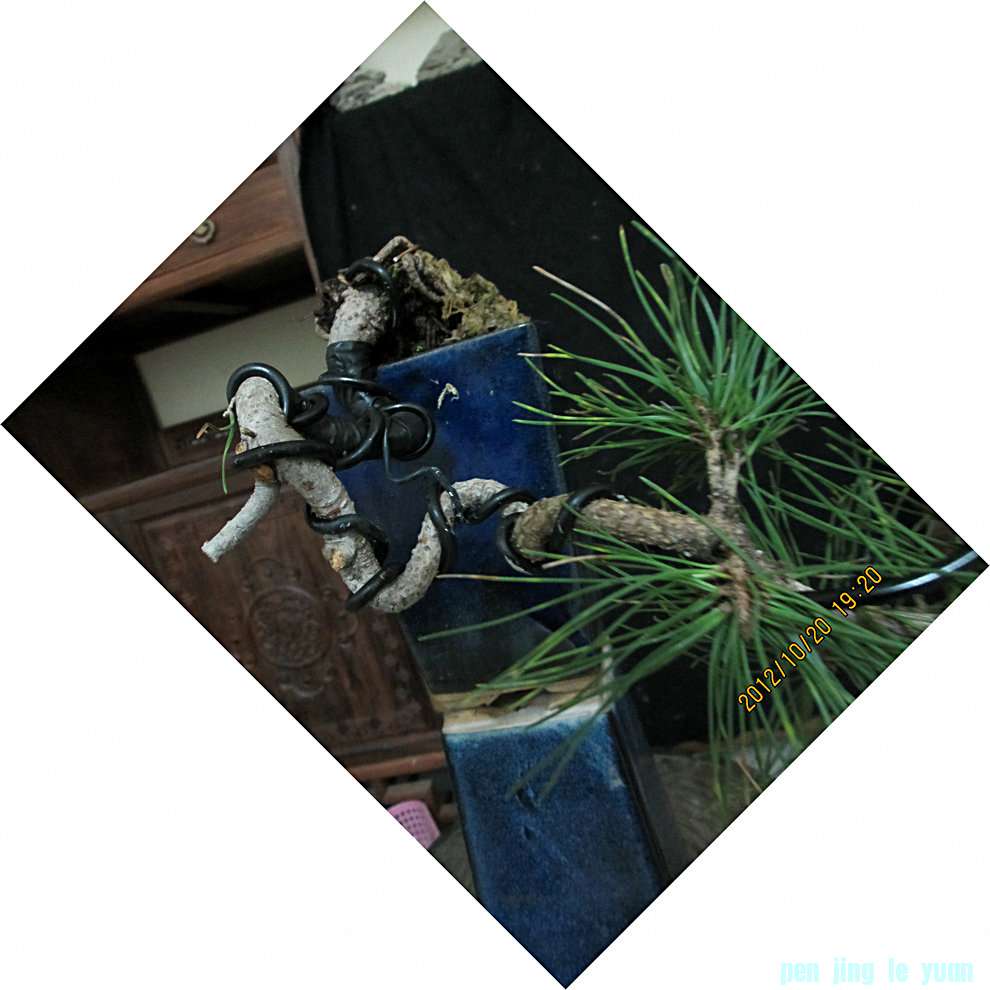 IMG_1059.JPG