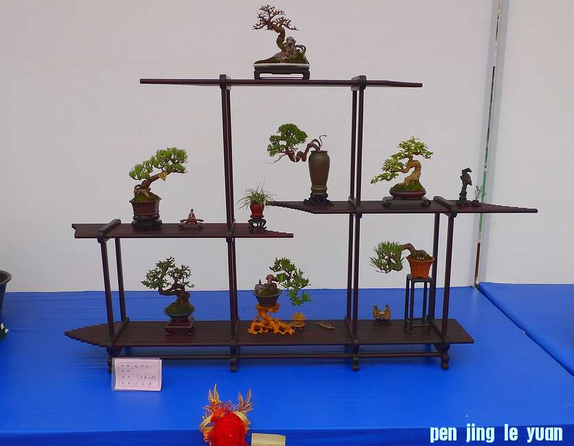 P1010118.JPG