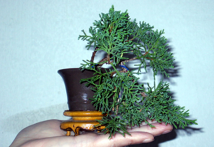 20103Ǥ