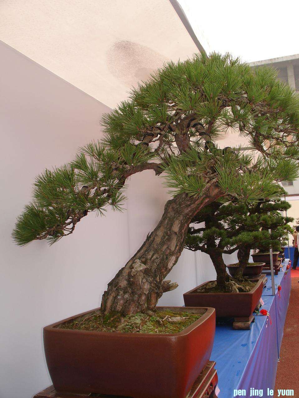 DSC00122.JPG