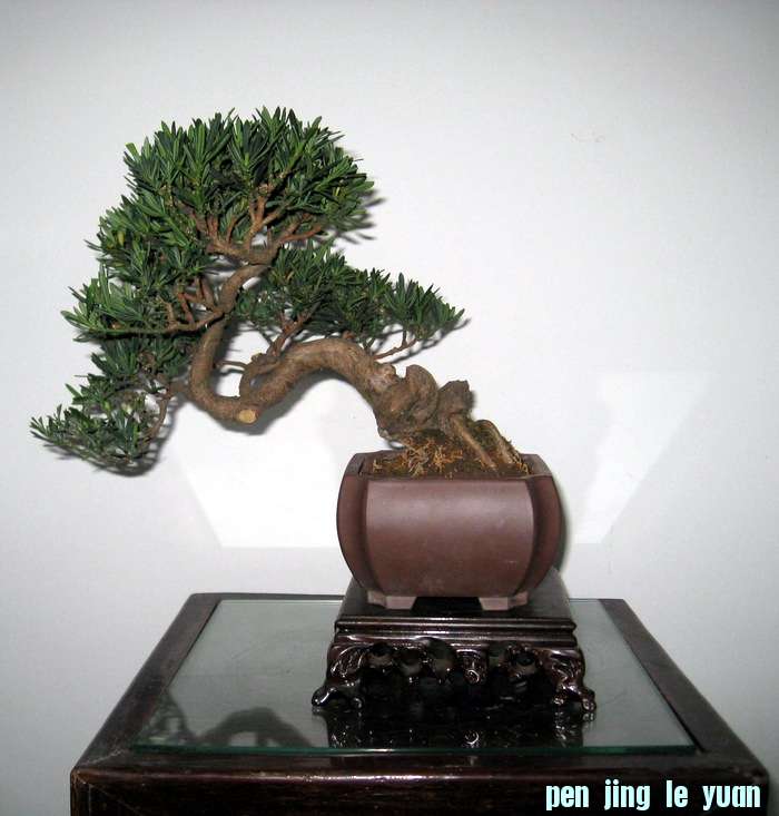 Ƭ 15465.jpg