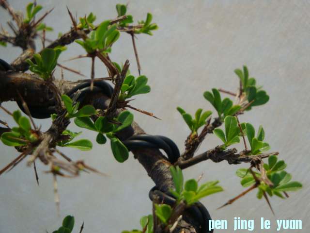 DSC00830.JPG