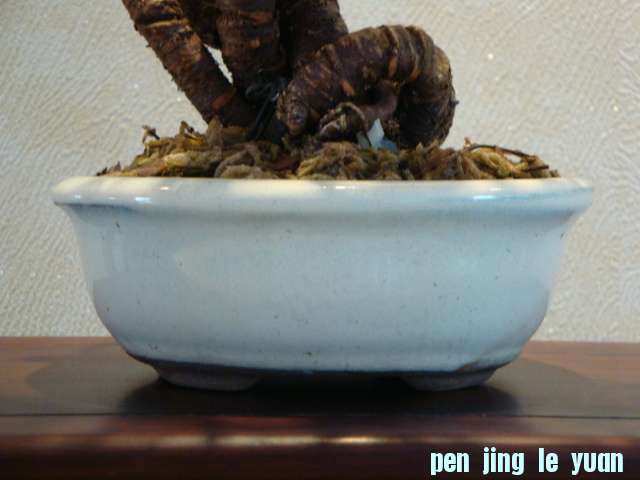 DSC00827.JPG