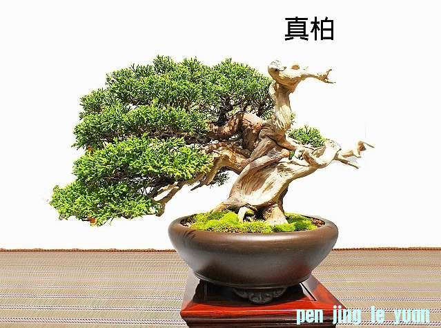 oysFWFzQ8As1zR9w1sw75Q.jpg
