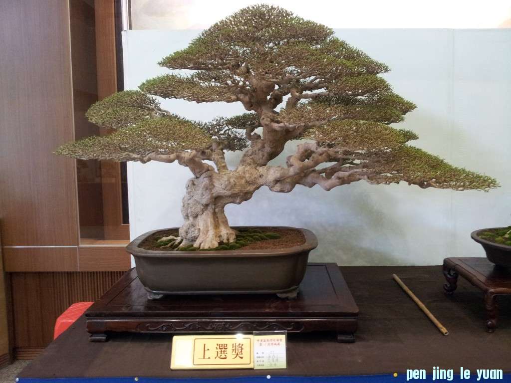 conew_0iuikimue3yiqcoyiag7dq.jpg