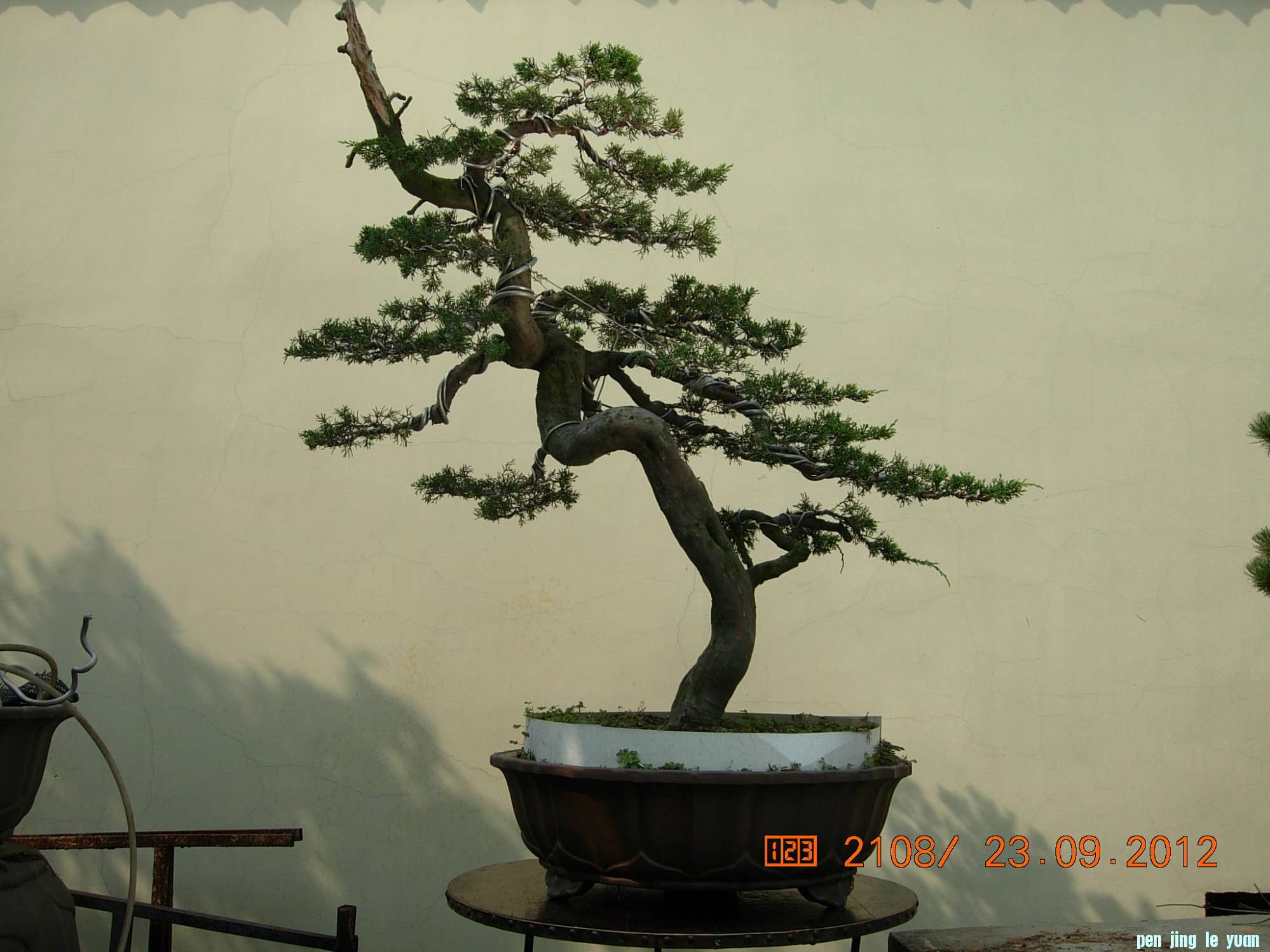 DSCN6344.JPG
