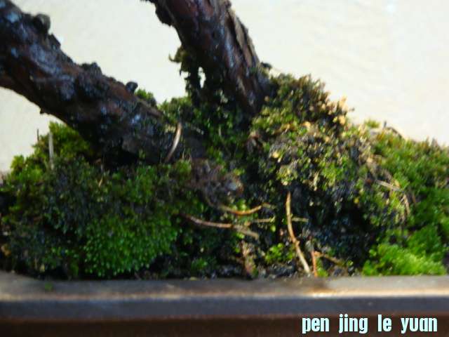 DSC00834.JPG