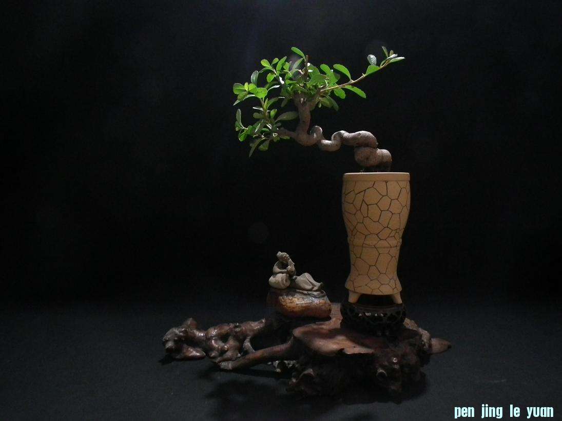 DSCF6079.JPG
