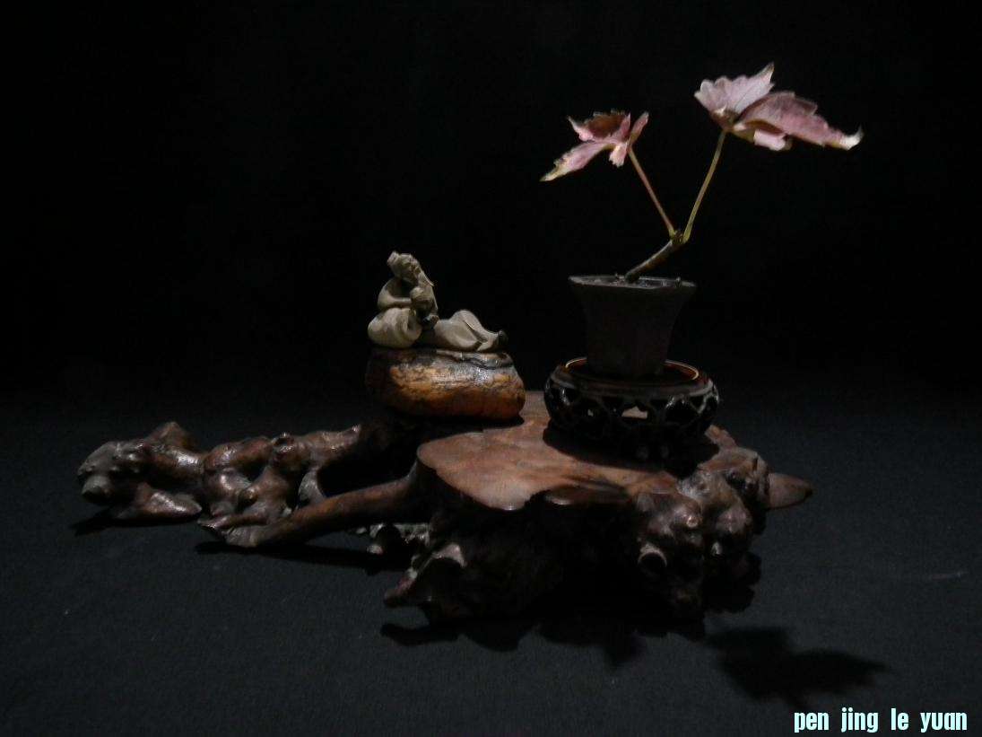 DSCF6081.JPG